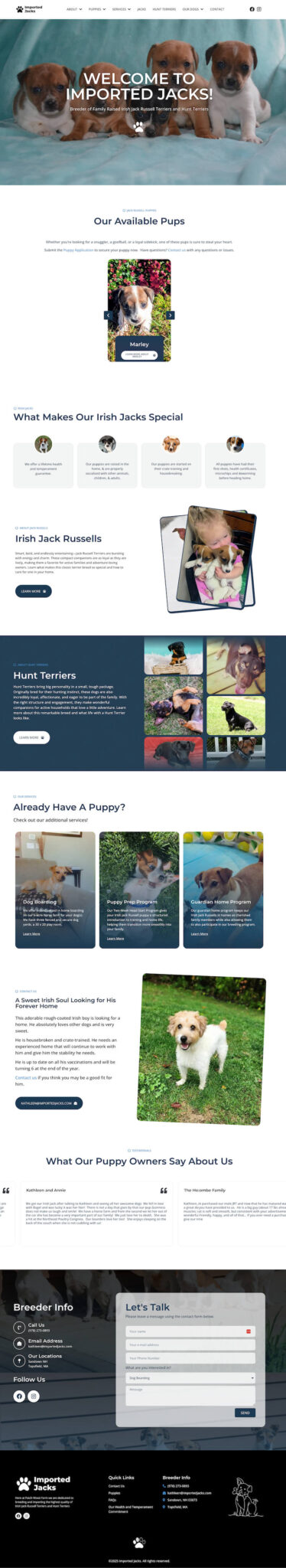 Irish Jack Russell Terrier Puppies- Breeder in New England · Irish Jack Russell Puppies website